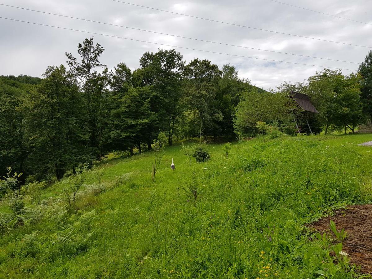 Fazenda Kosiv Hotell Exteriör bild